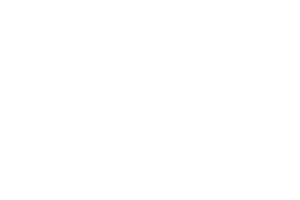 Logo von Emily & Noah
