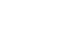 Logo von Camel Active